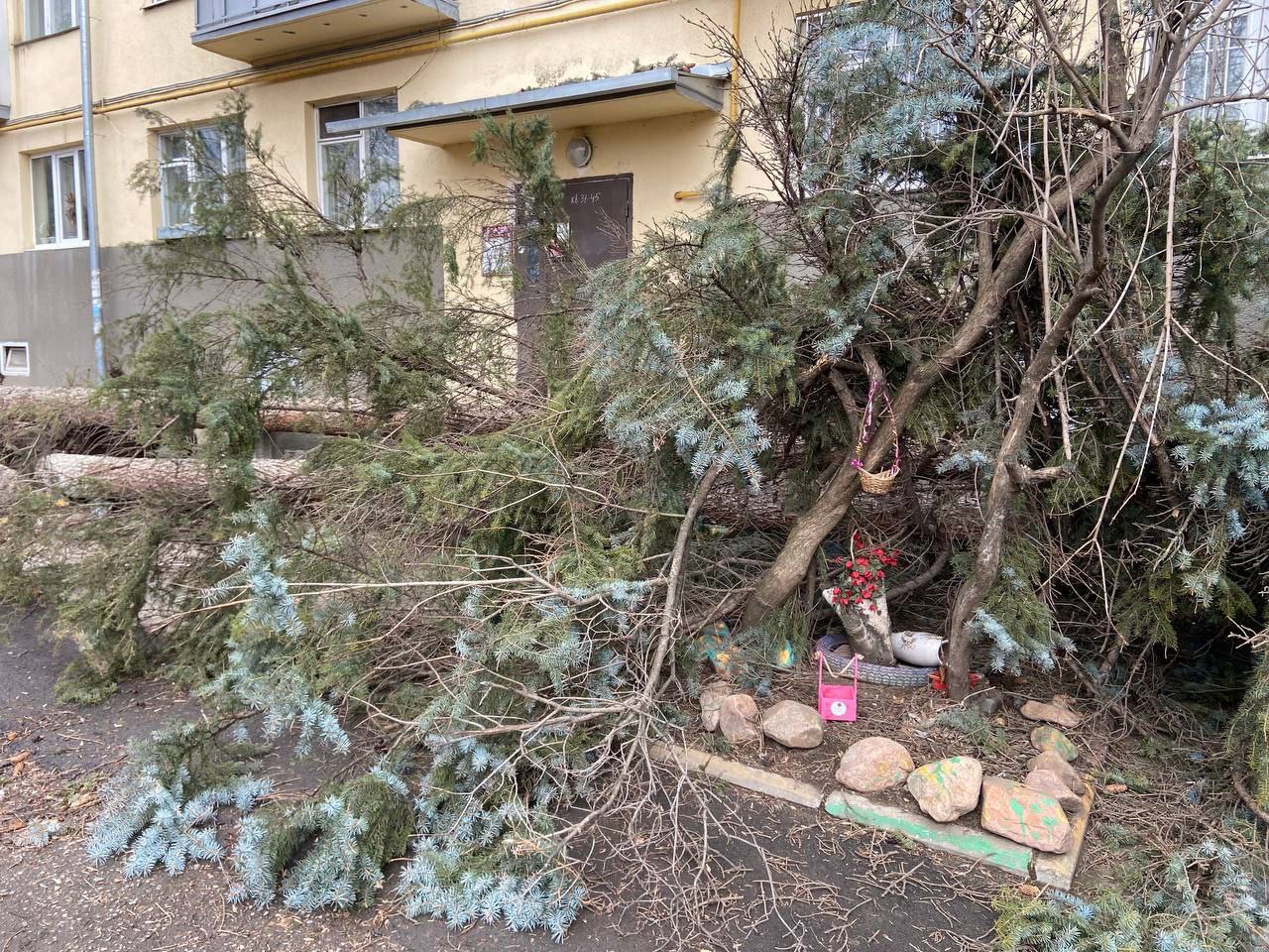 В связи с нашествием ураганного ветра Глава Кисловодска провёл экстренное совещание.