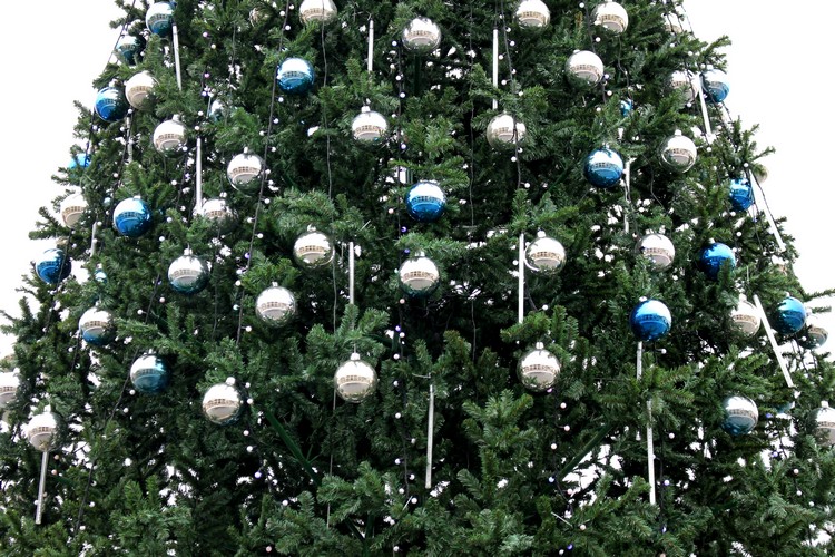 Главную елку Кисловодска украсили серебряные и голубые шары