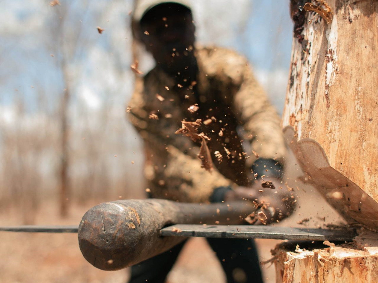 Житель Кисловодска ответит за незаконную рубку деревьев