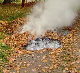 Сжигание листвы в Кисловодске