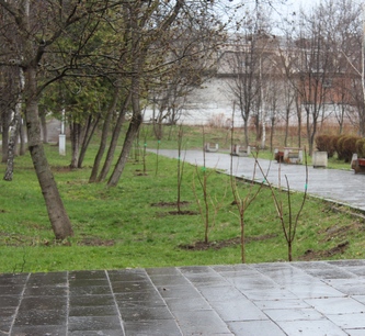 В мэрии Кисловодска названы благотворители нового зеленого наряда города
