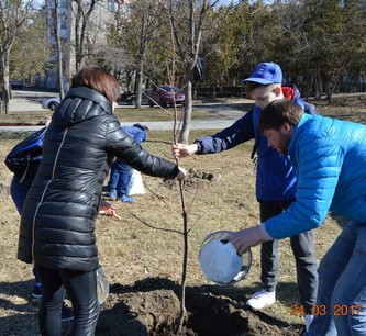 Кисловодчане добавили 154 новых деревьев в «зеленое ожерелье» родного города