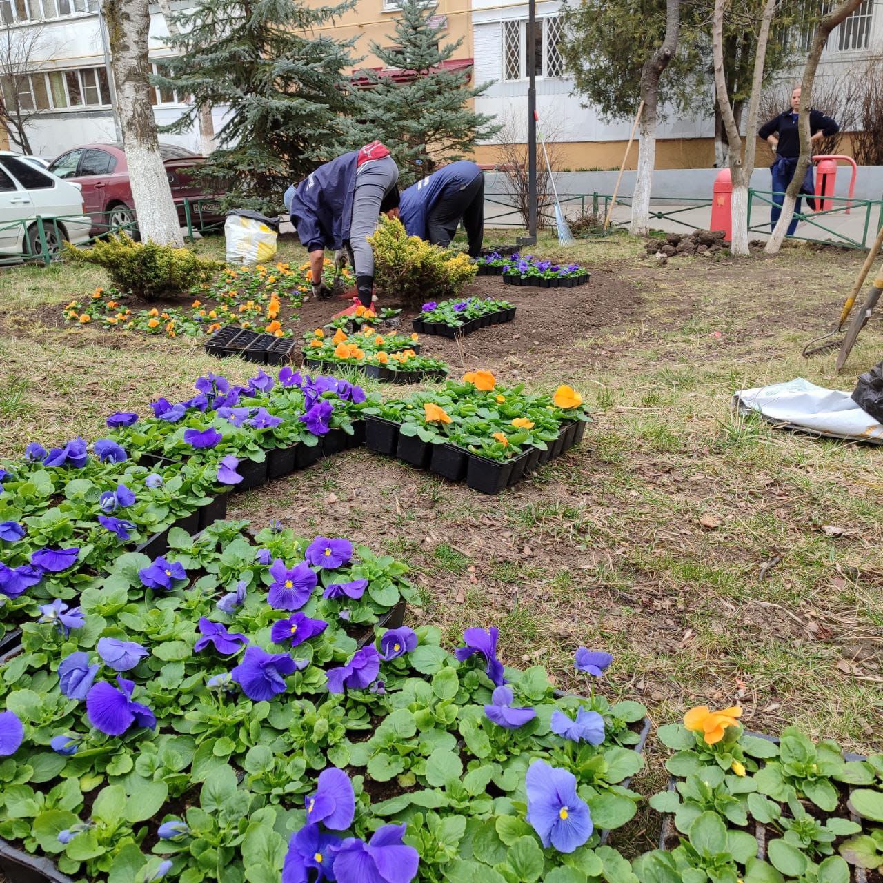 Новая городская программа «Цветы у Дома Твоего» стартовала в Кисловодске.