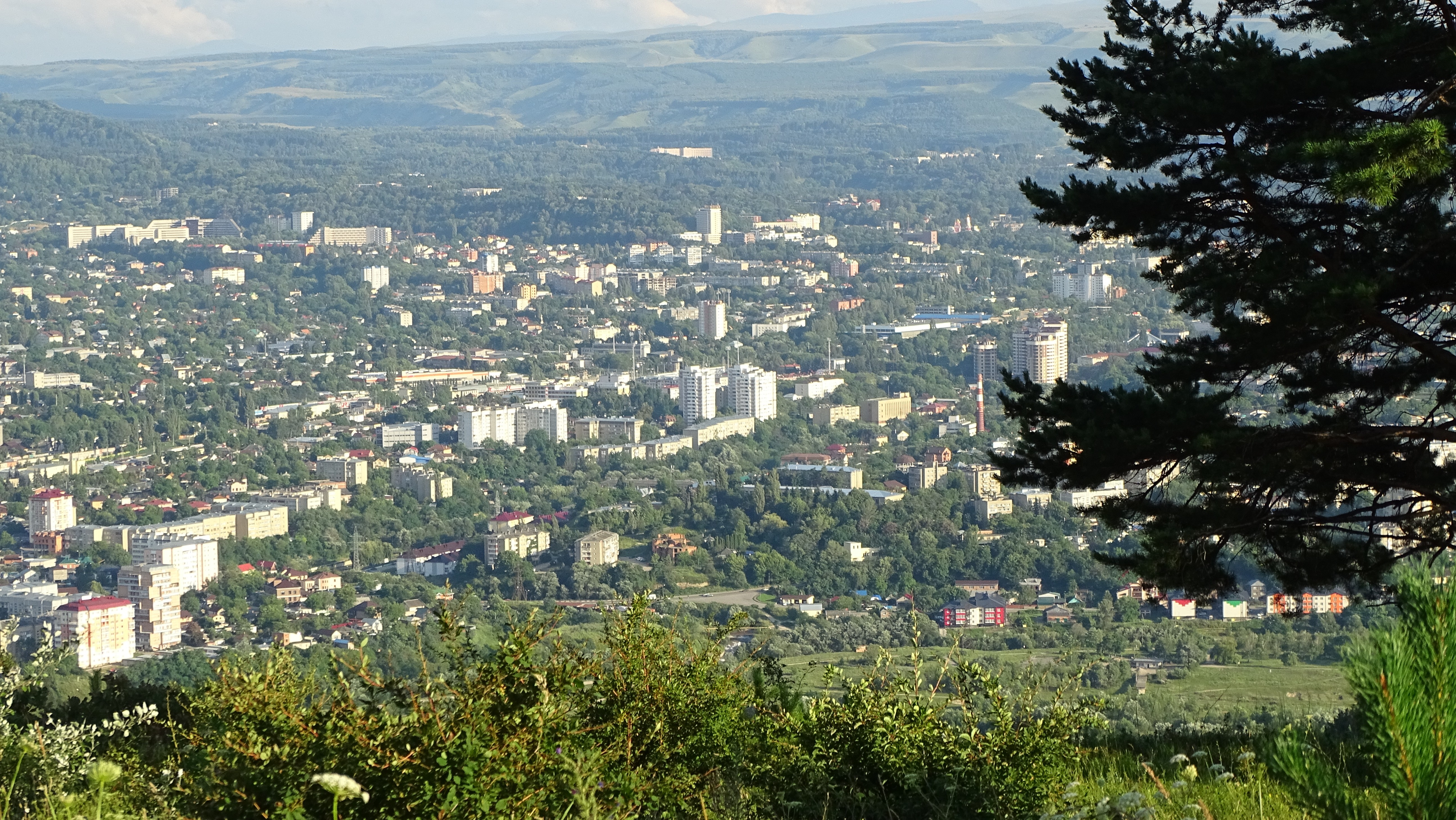 Кисловодск городской сайт