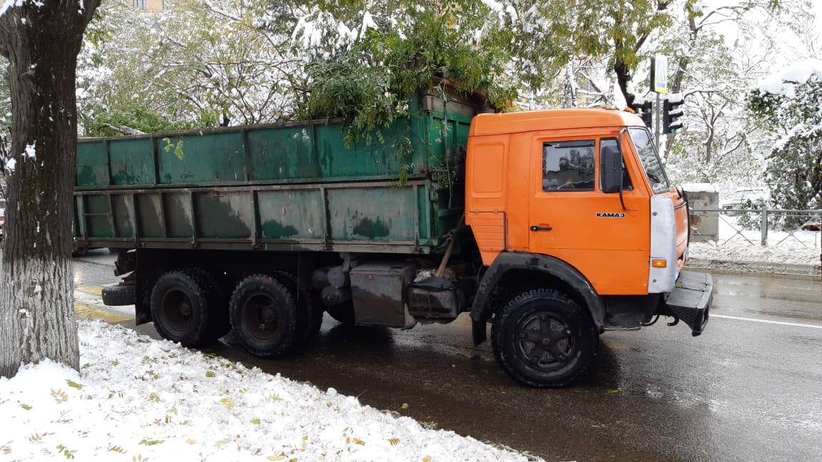 Более 200 деревьев пострадало в Кисловодске из-за сильного  снегопада