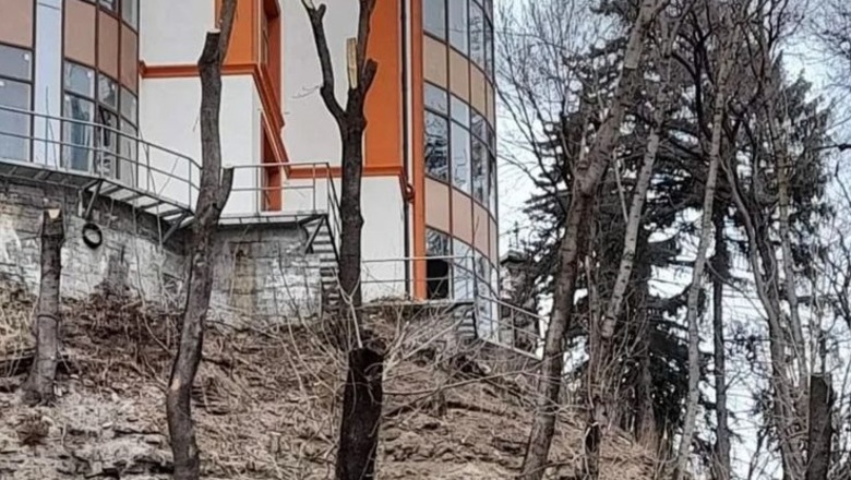 Обрезка деревьев в Кисловодске в районе пансионата 
