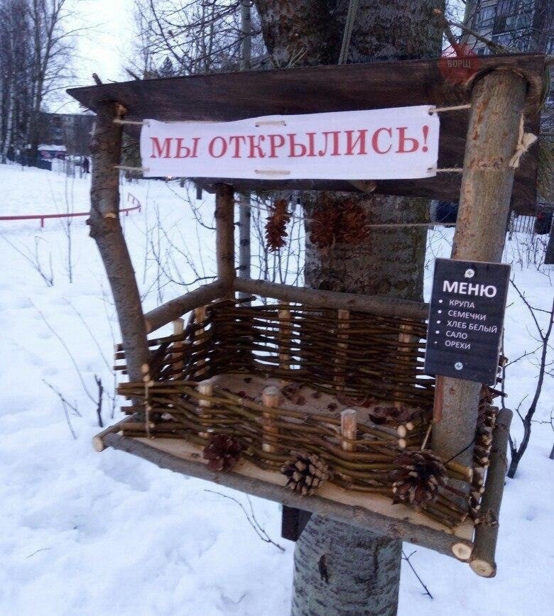 В Кисловодске школьники спасают зимующих птиц
