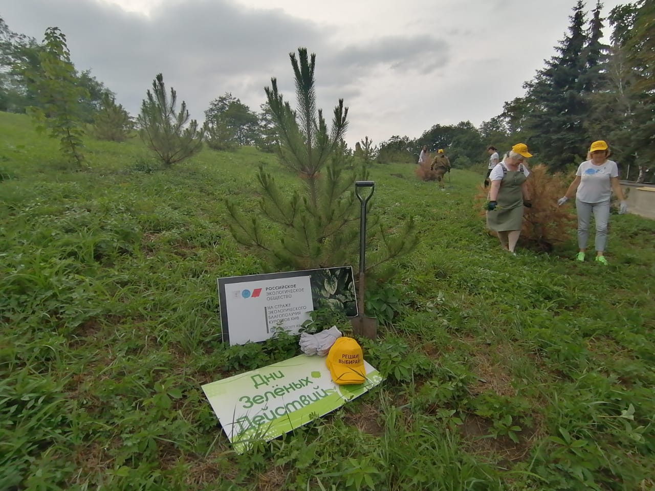 Кисловодские волонтеры ухаживают за деревьями Сада памяти