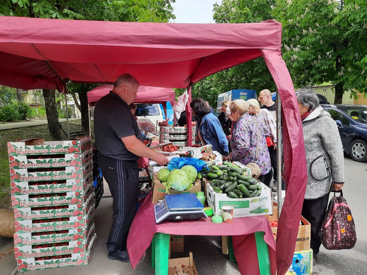 По просьбам жителей в Кисловодске проведут продовольственную ярмарку