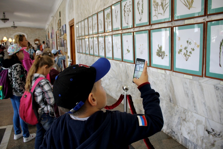 Стены «Нарзанной галереи» в Кисловодске украсил гербарий