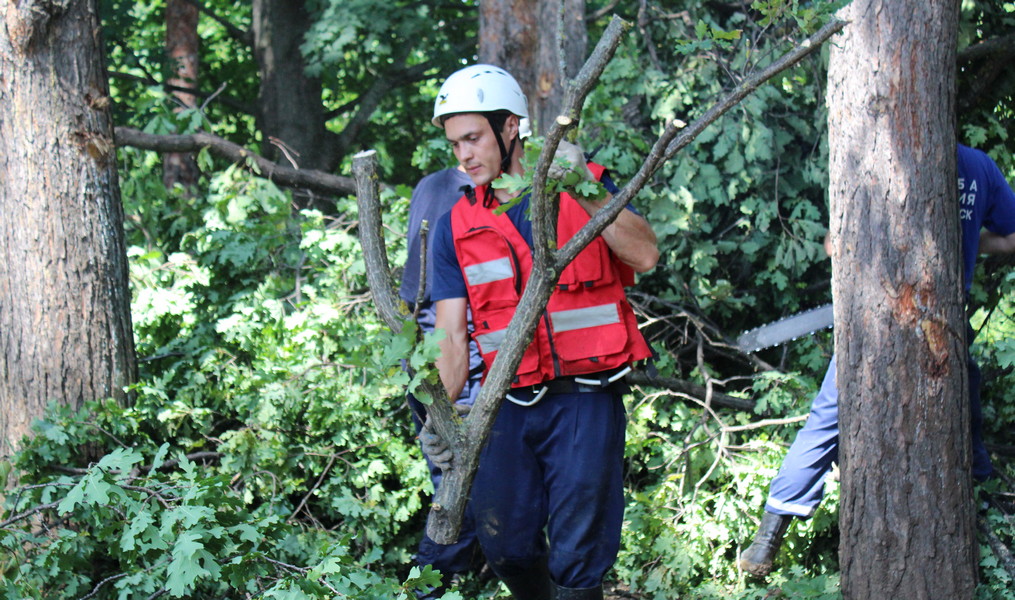Кисловодские спасатели подготовили к вывозу 65 сломанных деревьев