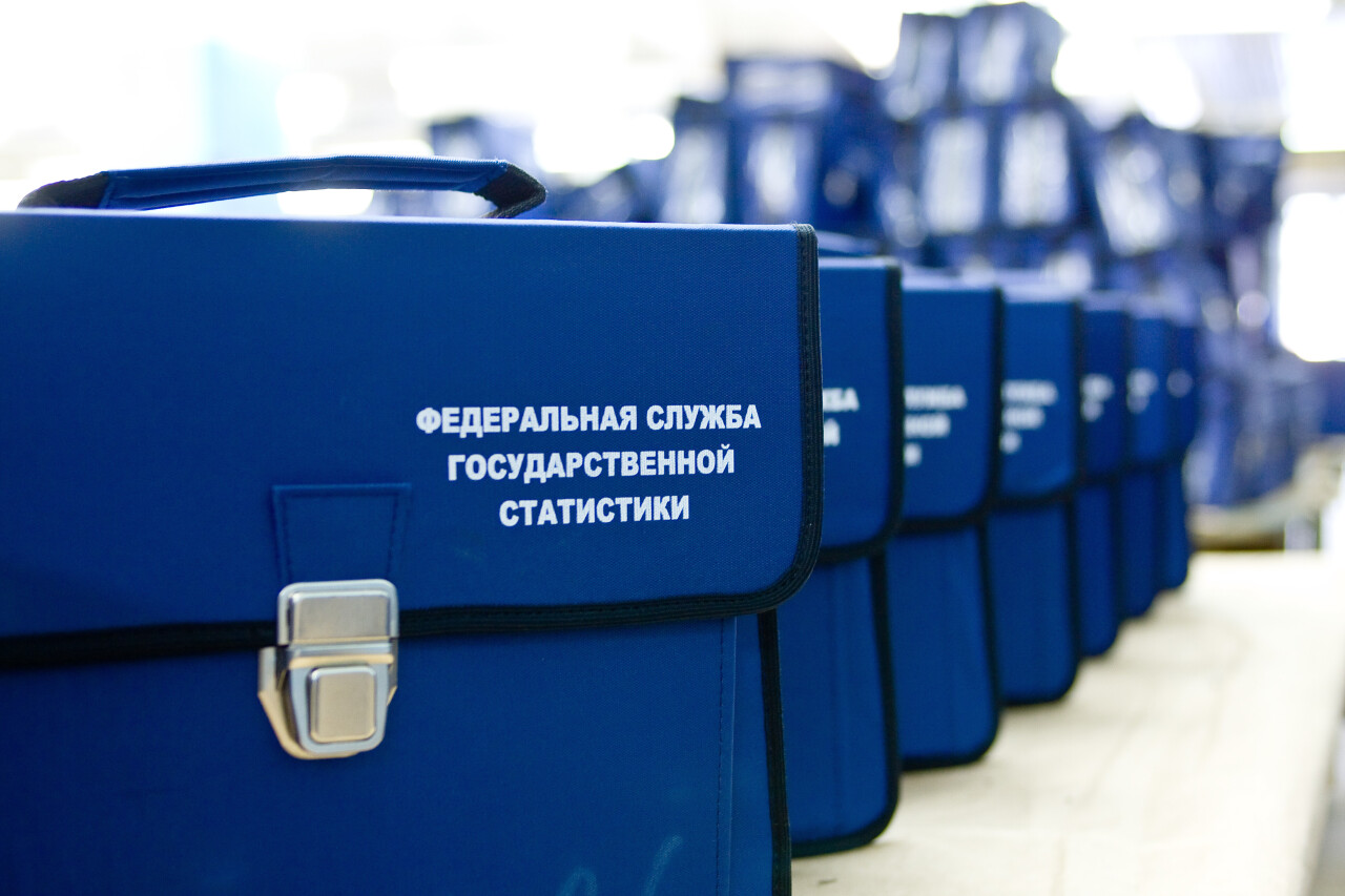 В Кисловодске ведется подготовка к Всероссийской переписи населения